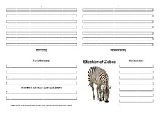 Zebra-Faltbuch-vierseitig-8.pdf